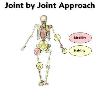 Dr. Matt of Knoxville Chiropractor office uses Mike Boyle diagram to discuss treatment.